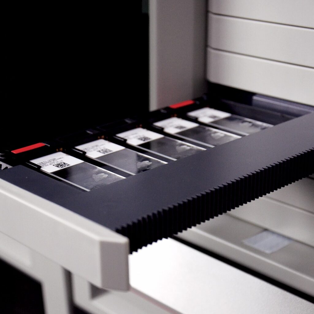 omnis-loading-slides-12354-zoom