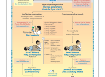 Action-Plan-POL-e1683804475285